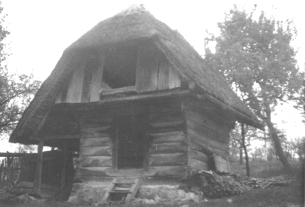 eika image